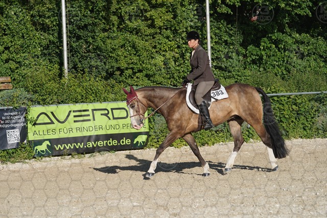 sA9K05886.JPG